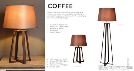 2018年Lucide国外室内设计灯饰产品图册 点亮空间的灵感源泉